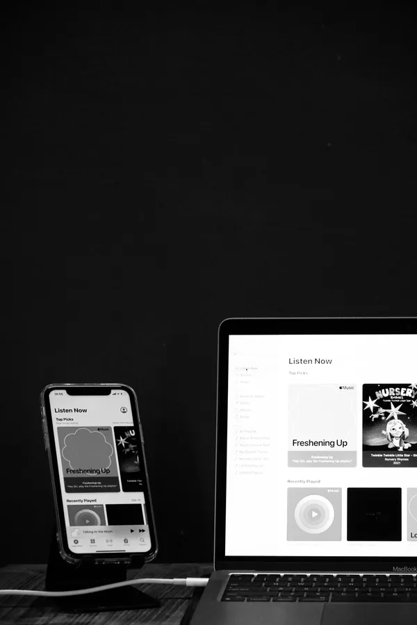 Professional consultation and project discussion